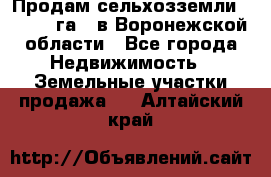 Продам сельхозземли ( 6 000 га ) в Воронежской области - Все города Недвижимость » Земельные участки продажа   . Алтайский край